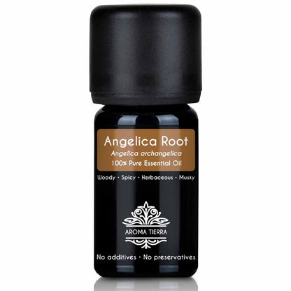 angelica root essential oil skin hair body face