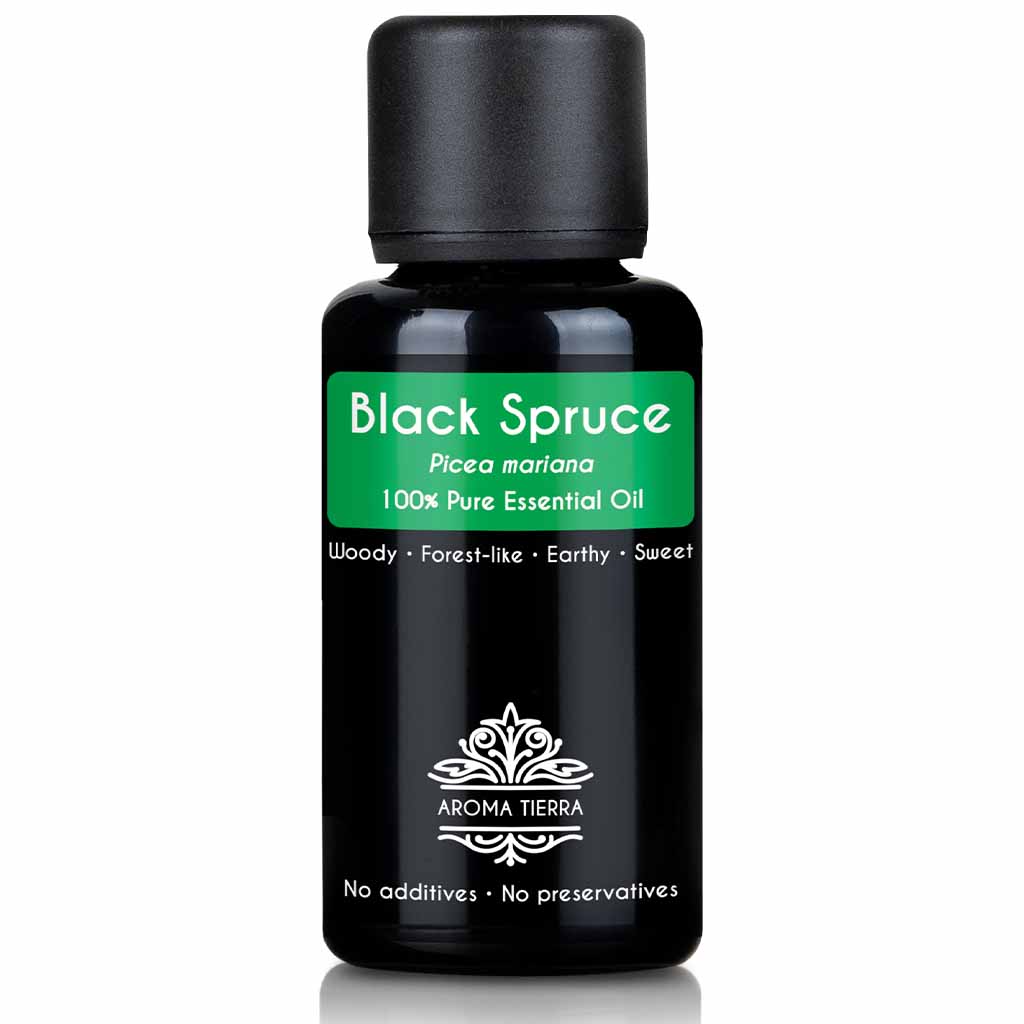 black spruce essential oil pure natural