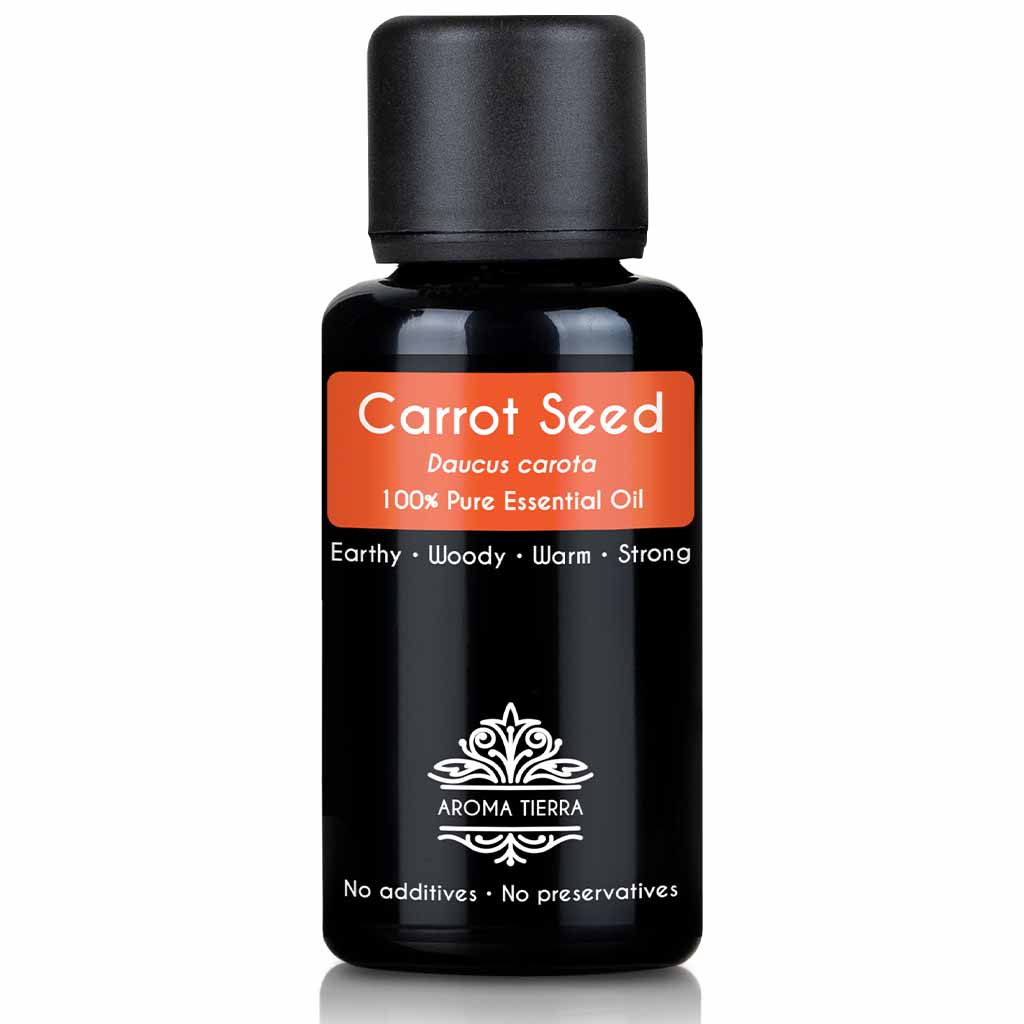 carrot seed essential oil pure therapeutic grade 