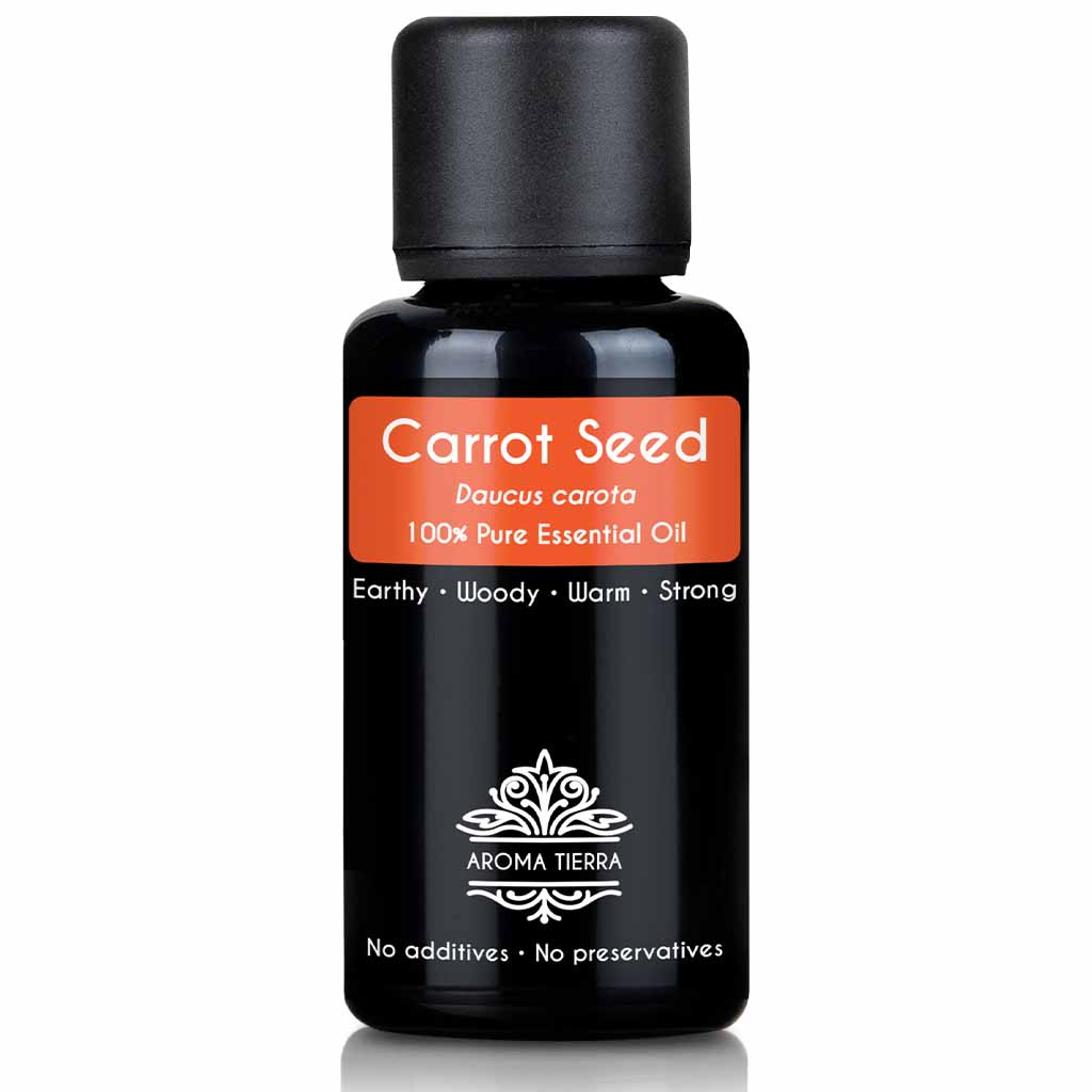 Aroma Tierra natural and pure carrot seed  essential oil therapeutic grade, 30 ml. 