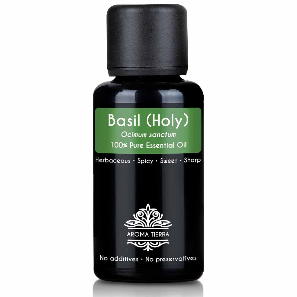 holy basil essential oil pure natural
