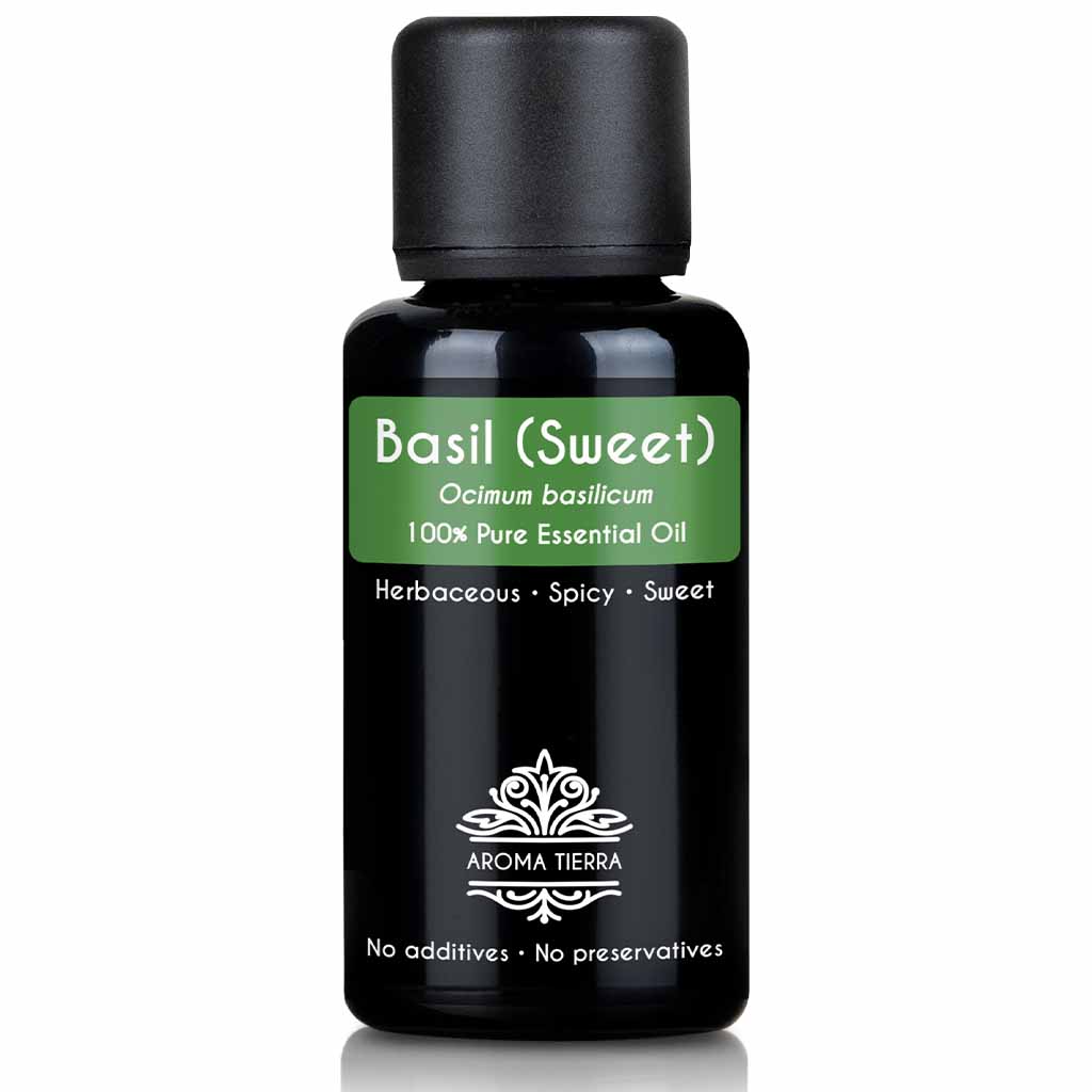 Aroma Tierra natural and pure basil essential oil therapeutic grade, 30 ml. 